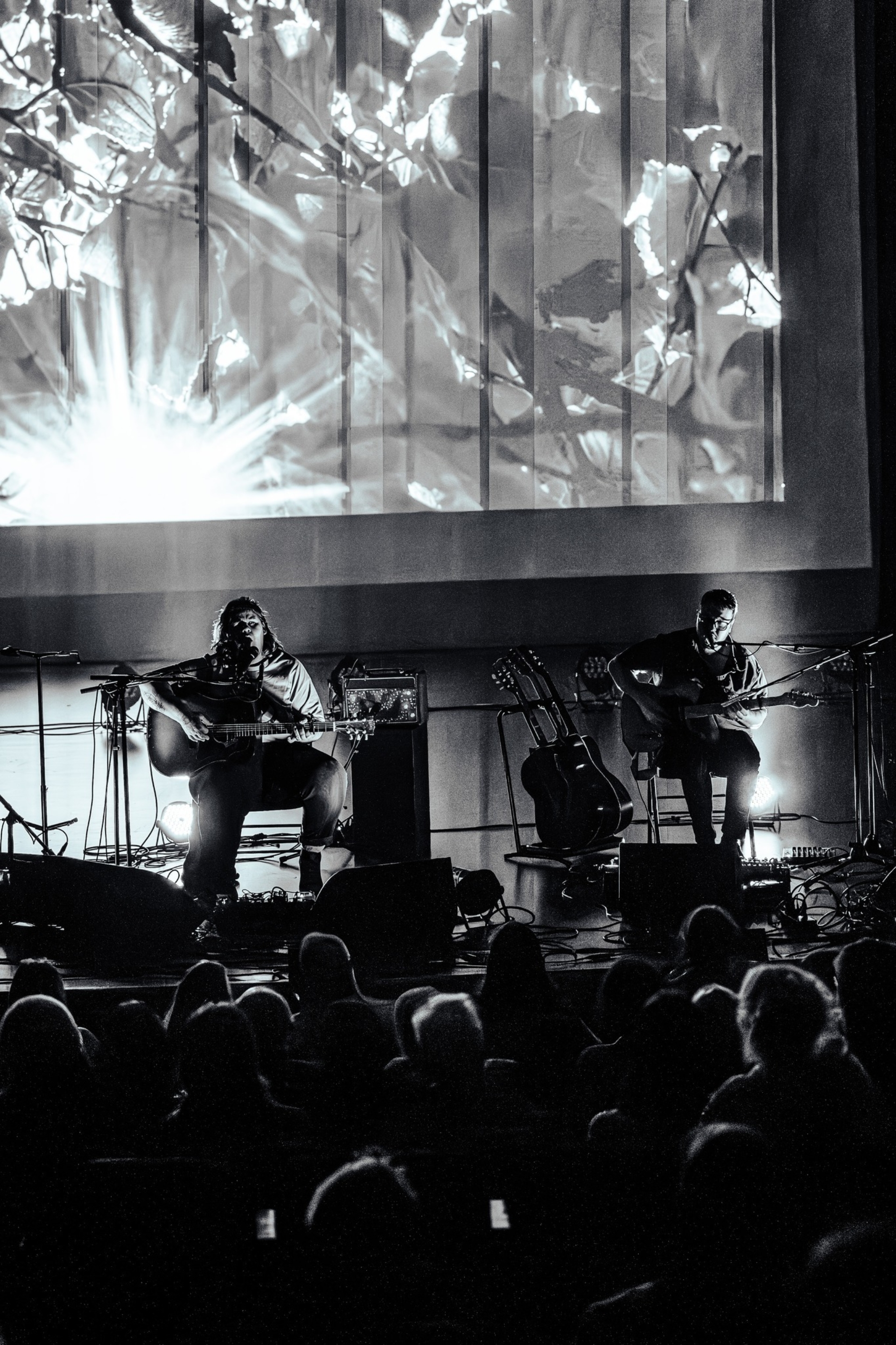 589737588 122165083850762824 888893525577057610 n