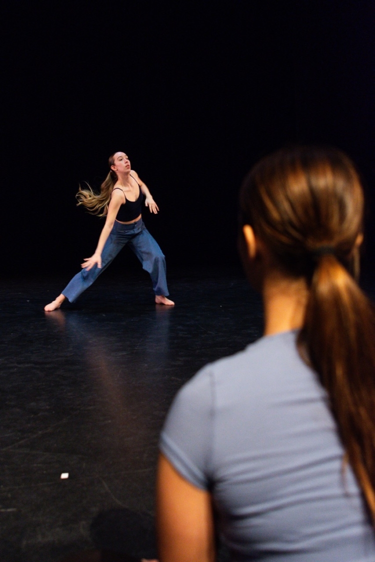 Photo affiche sans texte Spectacle 2026 grande taille