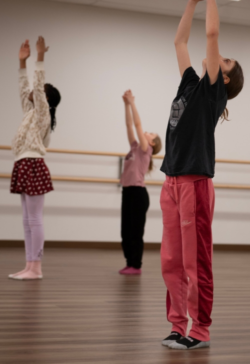 Image Mise en vente de billets Loisirs St Francois 26 04 2026