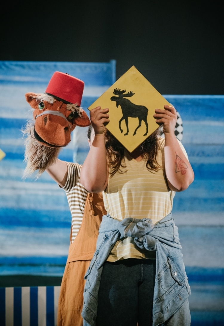 Spectacle Momo le chameau jpg